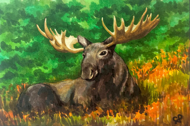 Moose - Marker Drawing